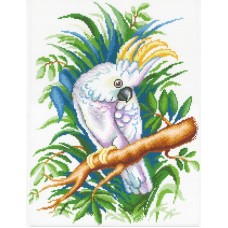 Белый попугай Рисунок на канве 40х50см 40х50 МП-Студия СК-116