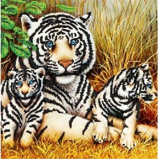 Тигры Рисунок на ткани 30х30 30х30 Божья коровка 153 30х30 Божья коровка 153