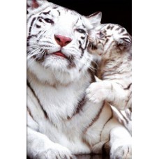 Белые тигры ткань с нанесенным рисунком