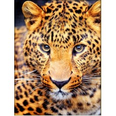Набор Взгляд леопарда 30х40 Алмазная живопись АЖ-4032