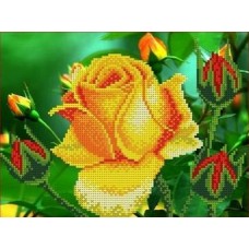 Роза Рисунок на ткани 25х19 Каролинка ТКБЦ 4018