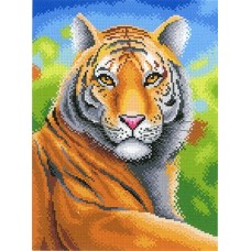 Царственный тигр Рисунок на канве 30х40см 27х20(40х30) МП-Студия СК-067
