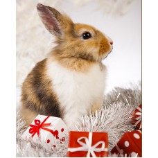 Набор Кролик и подарки Набор для выкладывания стразами 20х25 Алмазная живопись АЖ-4163