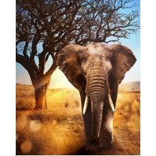Африканский слон Набор для выкладывания стразами 40х50 Алмазная живопись АЖ-1783