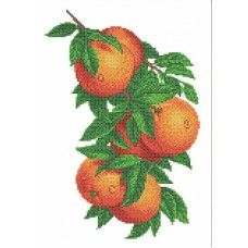 Апельсин Рисунок на канве 22,5х28 Каролинка КК 062