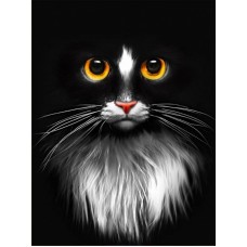 Черный кот Набор для выкладывания стразами 30х40 Алмазная живопись АЖ-1899