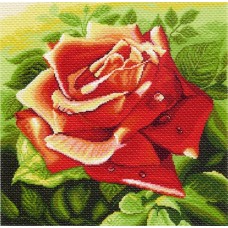 Красная роза Рисунок на канве 41/41 41х41 (34х34) Матренин Посад 1216 41х41 (34х34) Матренин Посад 1216