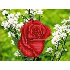 Роза в ромашках Рисунок на ткани 25х18 Каролинка ТКБЦ 4021 25х18 Каролинка ТКБЦ 4021