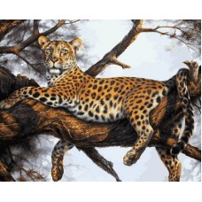Леопард на отдыхе  живопись на холсте 40*50см 40х50 Белоснежка 170-AB