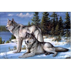 Набор Два волка 40х60 Алмазная живопись АЖ-4016