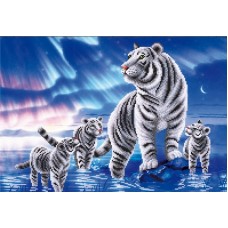 Белые тигры (рис. на ткани 39х27) 39х27 Магия канвы КС-081