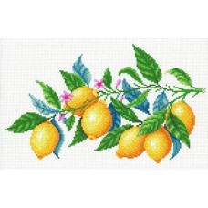 Лимонная гармония Рисунок на канве 30х40см 30х40 МП-Студия СК-098