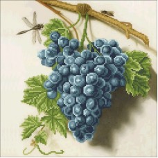 Виноградная гроздь Рисунок на ткани 30х30 Конек 1475