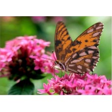 Бабочка на цветке Рисунок на ткани 25х18 Каролинка ТКБЦ 4002 25х18 Каролинка ТКБЦ 4002