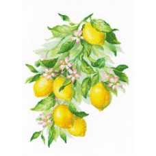 Набор Яркие лимоны 30х40 Риолис 2054
