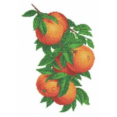 Ветка с апельсинами Рисунок на ткани 26х36 Каролинка ТКБЦ 3057 26х36 Каролинка ТКБЦ 3057