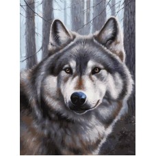 Волк живопись на картоне 30*40см 30х40 Белоснежка 3090-CS