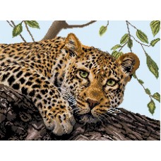 Леопард Рисунок на канве 37/49 37х49 (30х40) Матренин Посад 1881 37х49 (30х40) Матренин Посад 1881