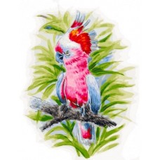 Розовый попугай живопись на холсте 30*40см