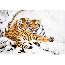 Тигры зимой (рис. на ткани 39х27) 39х27 Магия канвы КС-103