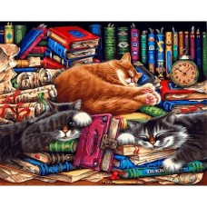 Библиотека кошек  живопись на холсте 40*50см