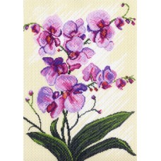 Орхидеи, композиция Рисунок на канве 37/49 37х49 (28х38) Матренин Посад 1317