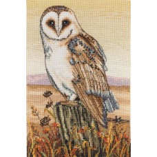 Набор для вышивания Anchor Owl Horizon 23*16см, MEZ, PCE604