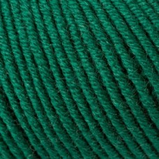 Merino Extrafine 120 /Мерино Экстрафайн 120/ пряжа Schachenmayr Merino, MEZ, 9807552 (00172, tanne, еловый (зеленый))