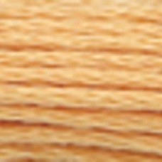 Мулине Anchor Stranded Cotton, MEZ, 4635000 (00891)