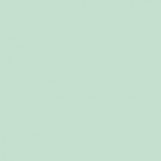 Застежка-молния витая тип 3 (4,15мм), неразъемная, длина 22см, YKK, 0561179/22 (823 пастельно-зеленый)