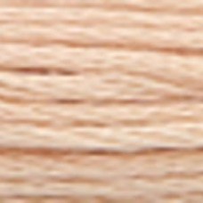 Мулине Anchor Stranded Cotton, MEZ, 4635000 (00880)