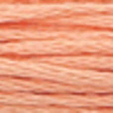 Мулине Anchor Stranded Cotton, MEZ, 4635000 (00336)