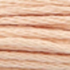 Мулине Anchor Stranded Cotton, MEZ, 4635000 (00881)