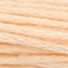 Мулине Anchor Stranded Cotton, MEZ, 4635000 (01010)