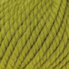 Big Wool /Биг Вул/ пряжа Rowan, MEZ, Z058000 (069)