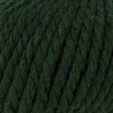 Big Wool /Биг Вул/ пряжа Rowan, MEZ, Z058000 (043)