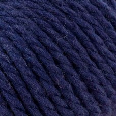 Big Wool /Биг Вул/ пряжа Rowan, MEZ, Z058000 (026)
