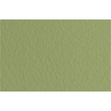 Fabriano   Бумага для пастели Tiziano   160 г/м2  50 х  65 см  лист   10 л. 52551014 Muschio/Оливковый