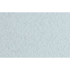 Fabriano   Бумага для пастели Tiziano   160 г/м2  50 х  65 см  лист   10 л. 52551015 Marina/Морской