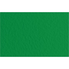 Fabriano   Бумага для пастели Tiziano   160 г/м2  70 х  100 см  лист   10 л. 52811037 Biliardo/Темно-зеленый