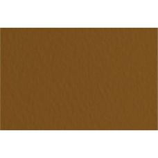Fabriano   Бумага для пастели Tiziano   160 г/м2  A4   21 х  29.7 см  лист   50 л. 21297109 Caffe/Кофейный
