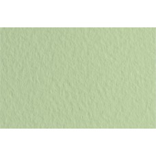 Fabriano   Бумага для пастели Tiziano   160 г/м2  70 х  100 см  лист   10 л. 52811011 Verduzzo/Светло-зеленый