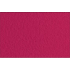 Fabriano   Бумага для пастели Tiziano   160 г/м2  70 х  100 см  лист   10 л. 52811024 Viola/Фиолетовый