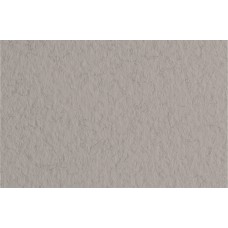 Fabriano   Бумага для пастели Tiziano   160 г/м2  70 х  100 см  лист   10 л. 52811028 China/Серый теплый