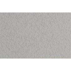 Fabriano   Бумага для пастели Tiziano   160 г/м2  70 х  100 см  лист   10 л. 52811029 Nebbia/Серый холодный