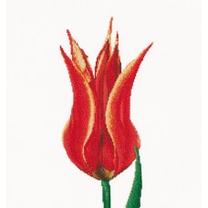 Набор для вышивания Красный тюльпан, канва лён 36 ct 34 х 36 см THEA GOUVERNEUR 515