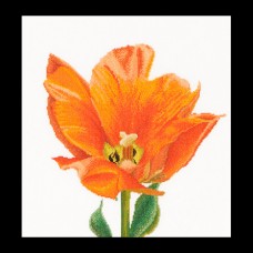 Набор для вышивания Оранжевый тюльпан Триумф, канва аида 18 ct