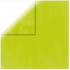 Бумага двухсторонняя для скрапбукинга Double dot 30,5 х 30,5 см* майский зеленый RAYHER 58883412