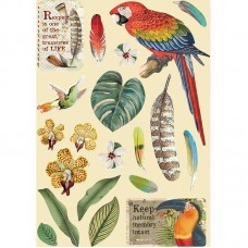 Набор высеченных декоративных элементов Амазония - попугай 10,5 х 14,8 см (А5) STAMPERIA KLSP095