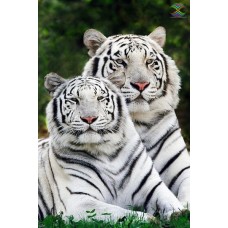 Картина стразами Тигры альбиносы